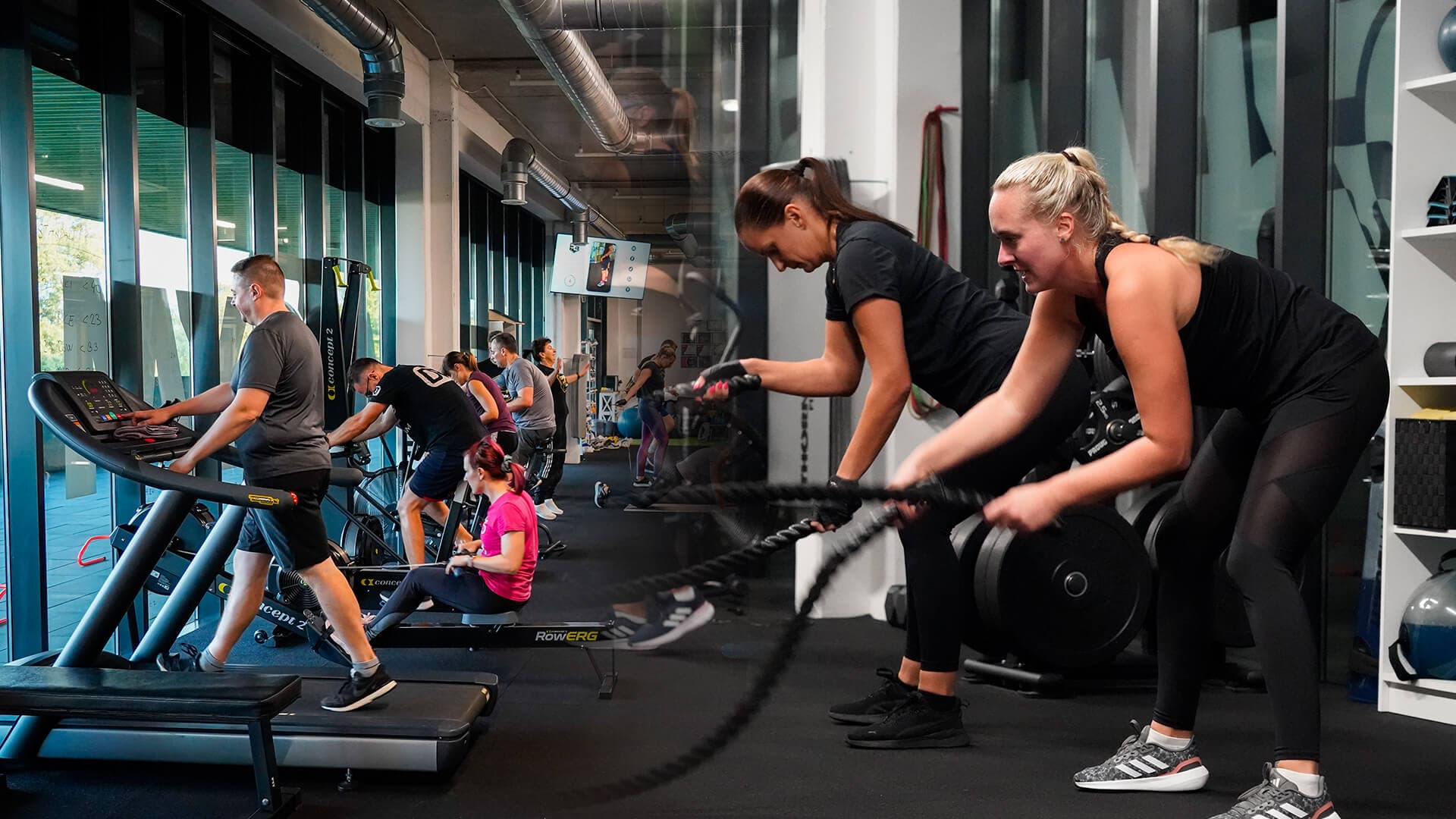 Fat Burn